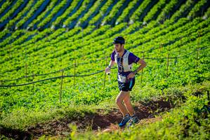 BIB: 
                            <button type="button" onclick="openModal(19160411)" class="btn btn-primary btn-sm float-right btn-popup" data-toggle="modal" data-target=".modal-high-quality">
                        <i class="fas fa-shopping-cart"></i> Add to Cart
                    </button>
                                            <button type="button" onclick="isThisMe(19160411, true)" class="btn btn-success btn-sm float-right btn-popup btn-isme hidden" data-toggle="tooltip" data-placement="bottom" title="นี่คือรูปของคุณใช่ไหม คลิกที่นี่เพื่อเอาเข้าอัลบั้ม">
                        <i class="fas fa-plus"></i> Add to album
                    </button>
                    <button type="button" onclick="isThisMe(19160411, false)" class="btn btn-warning btn-sm float-right btn-popup btn-isnotme hidden">
                        <i class="fas fa-ban"></i> Remove from album
                    </button>